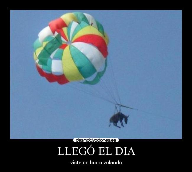 LLEGÓ EL DIA - viste un burro volando