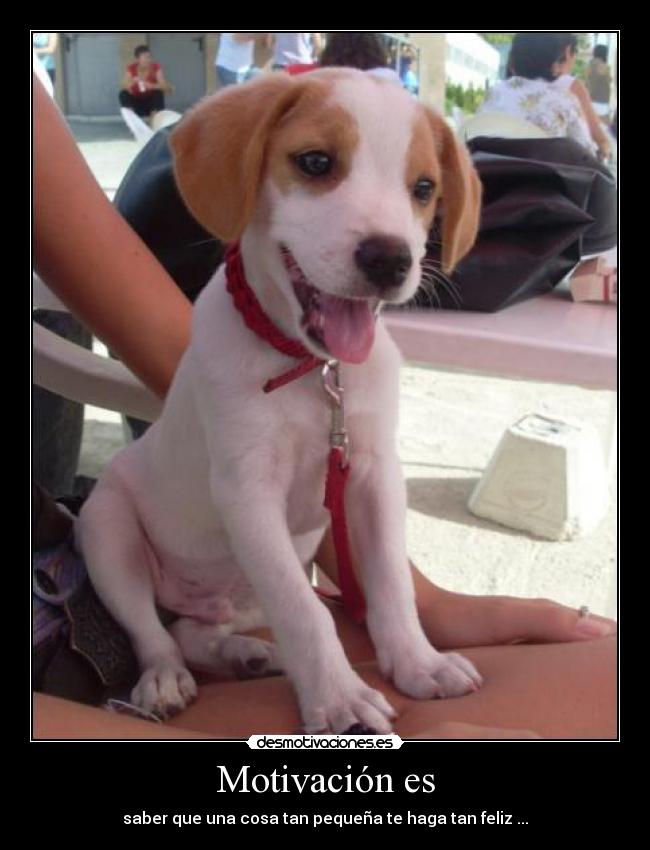 Motivación es - saber que una cosa tan pequeña te haga tan feliz ...