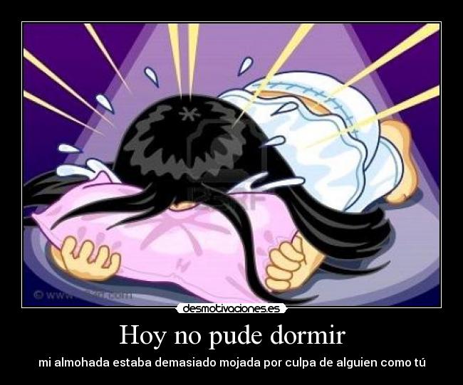 carteles dormir dormir desamor almohada desmotivaciones