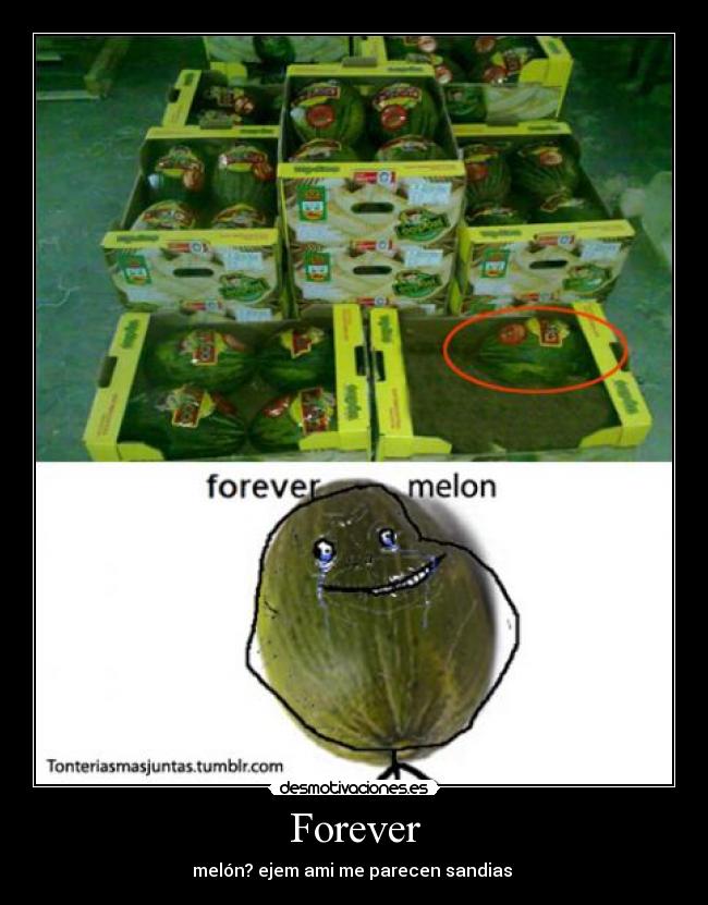 carteles melon forever alone desmotivaciones