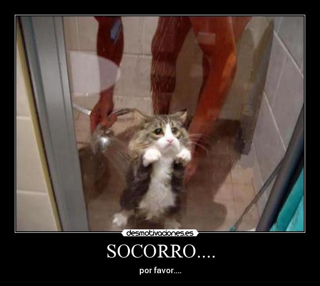 SOCORRO.... - por favor....