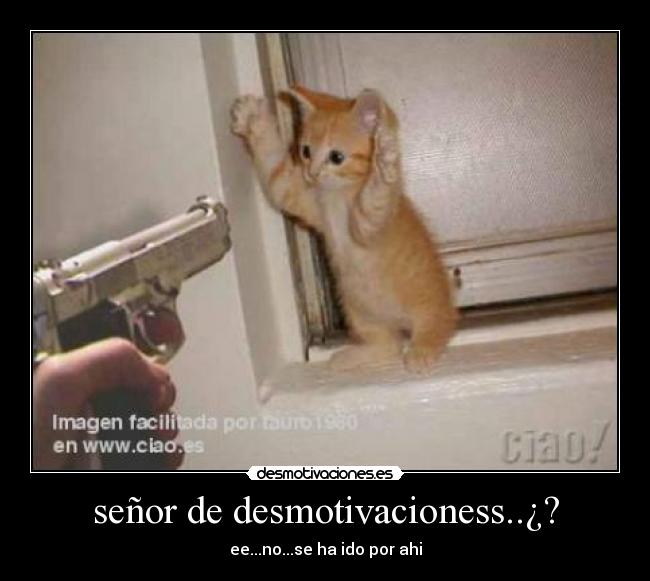 señor de desmotivacioness..¿? - ee...no...se ha ido por ahi
