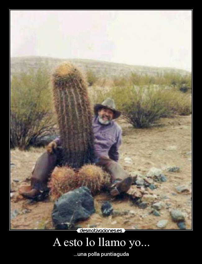 A esto lo llamo yo... -