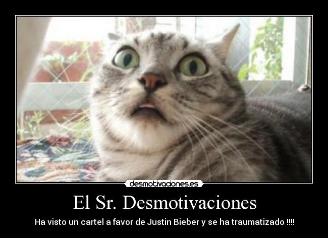 El Sr. Desmotivaciones - 