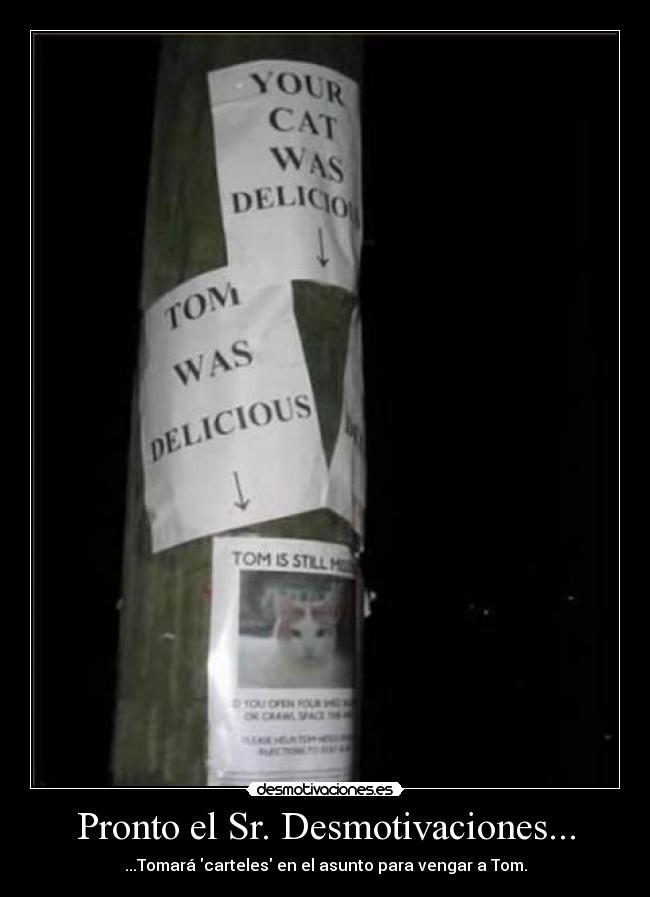 carteles desmotivaciones senor desmotivaciones tom delicious gatosanimales desmotivaciones