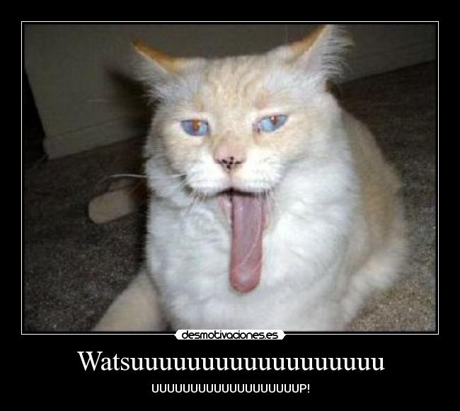Watsuuuuuuuuuuuuuuuuuu -