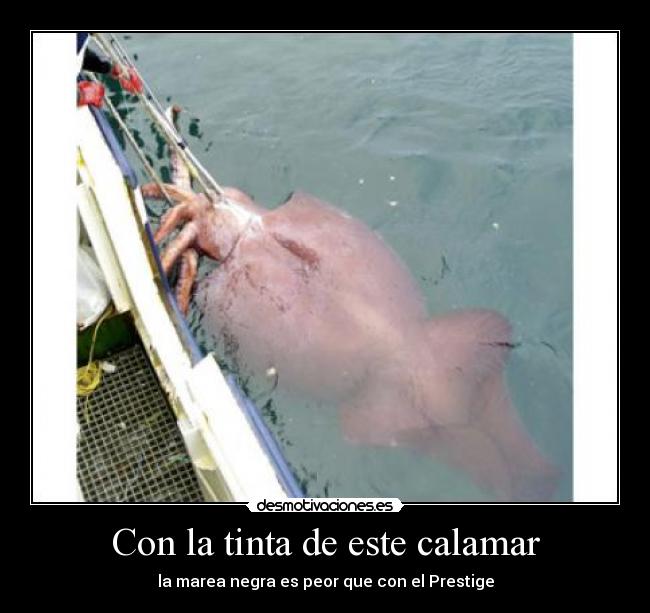 Con la tinta de este calamar - la marea negra es peor que con el Prestige