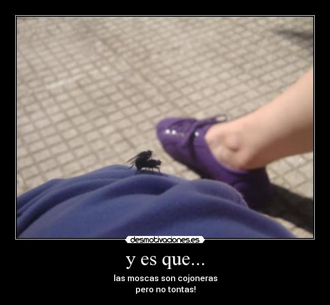y es que... -