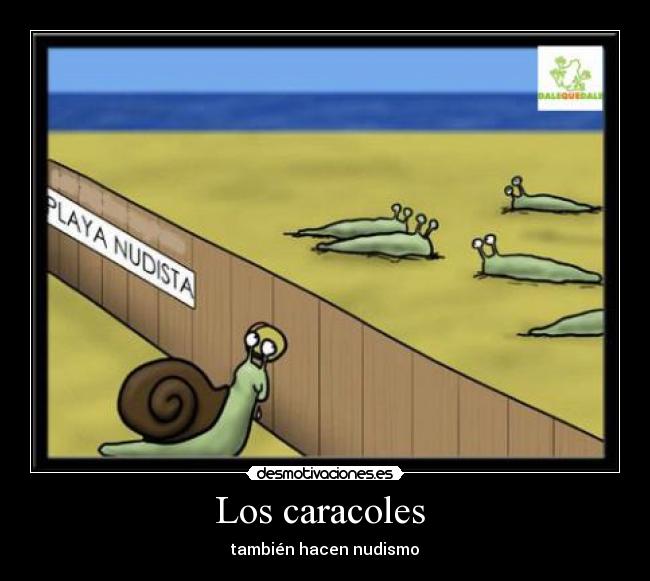 Los caracoles  - 