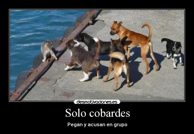 Solo cobardes - Pegan y acusan en grupo