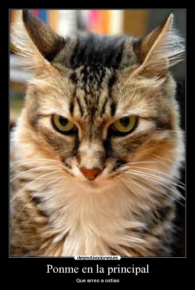 Ponme en la principal -
