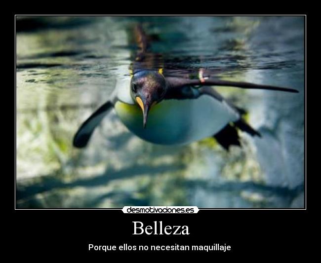 Belleza - 