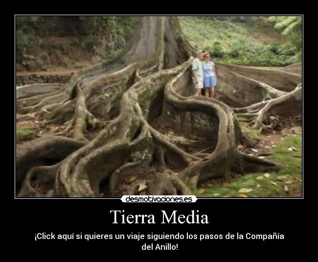 Tierra Media - ¡Click aquí si quieres un viaje siguiendo los pasos de la Compañía del Anillo!