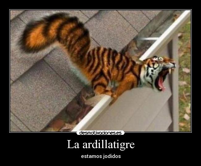 La ardillatigre -