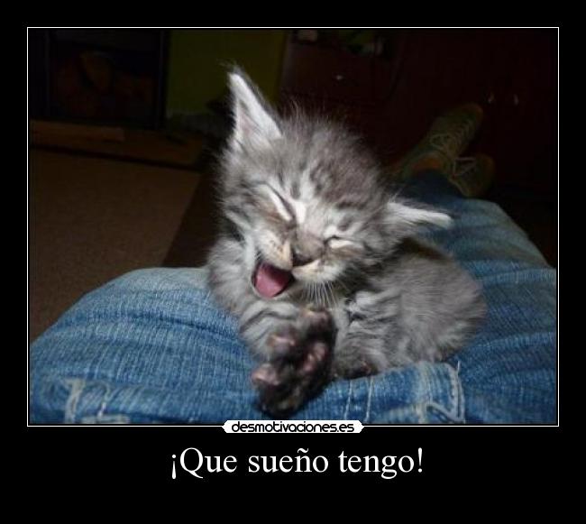 ¡Que sueño tengo! -