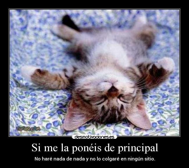 Si me la ponéis de principal - 