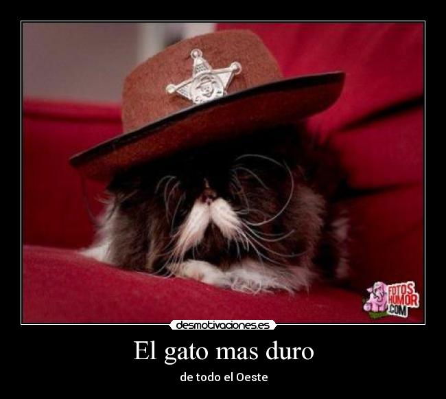 carteles gatossherif desmotivaciones