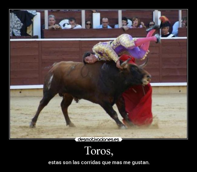 Toros, - estas son las corridas que mas me gustan.