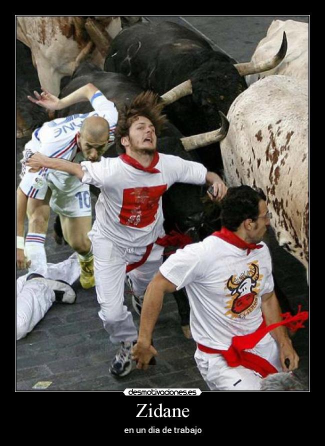 Zidane - en un dia de trabajo