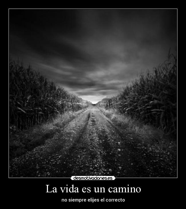 carteles vida camino vida desmotivaciones