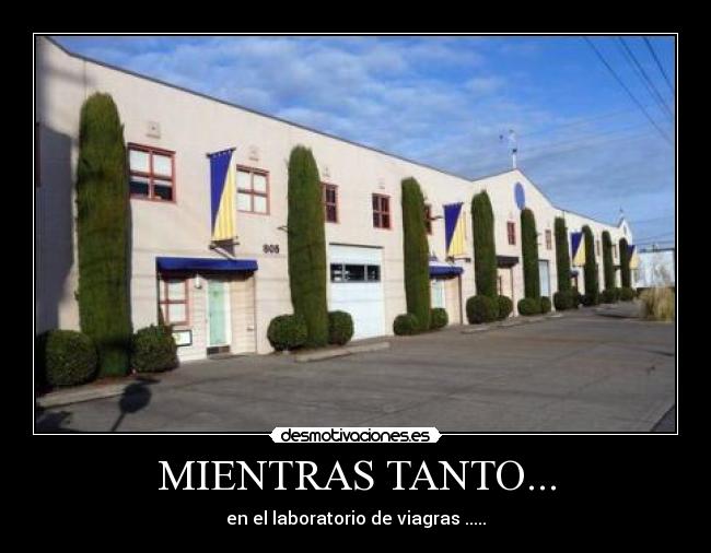 carteles gracioso desmotivaciones