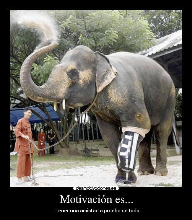 Motivación es... - 