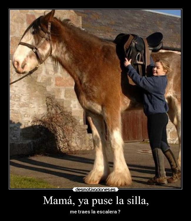 Mamá, ya puse la silla, - me traes la escalera ?