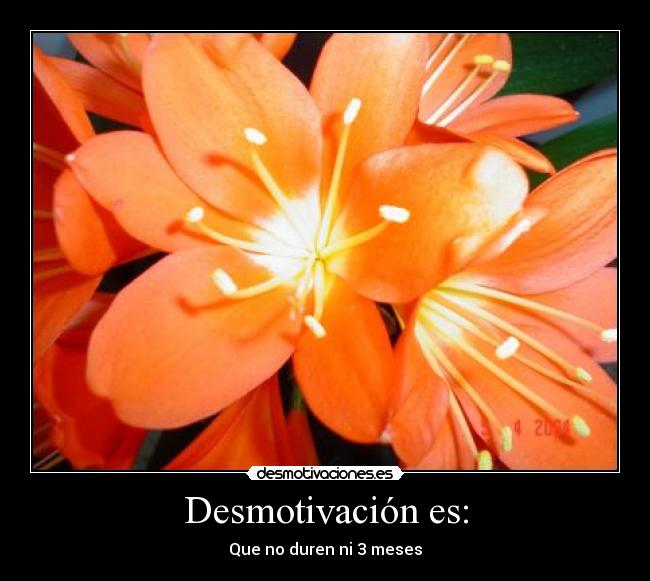 Desmotivación es: -