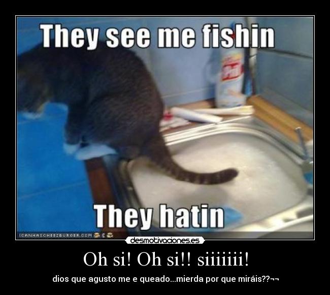 carteles lolcats desmotivaciones