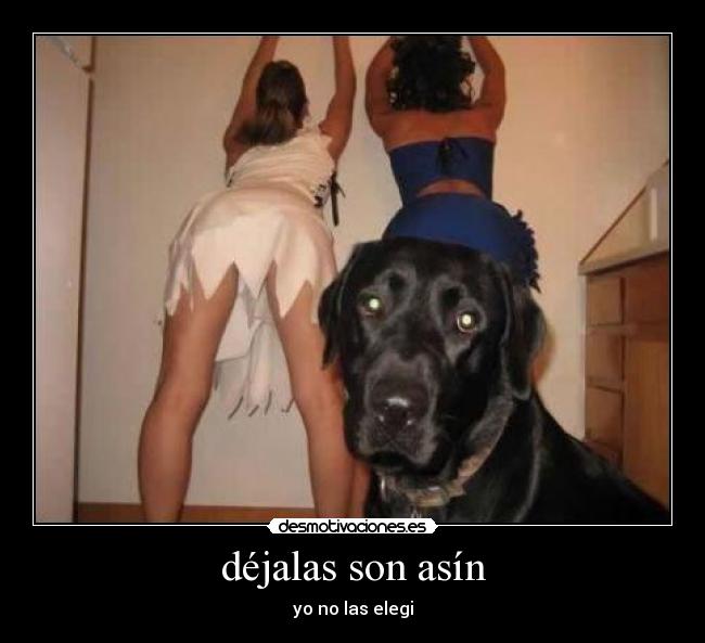 carteles jsjs desmotivaciones