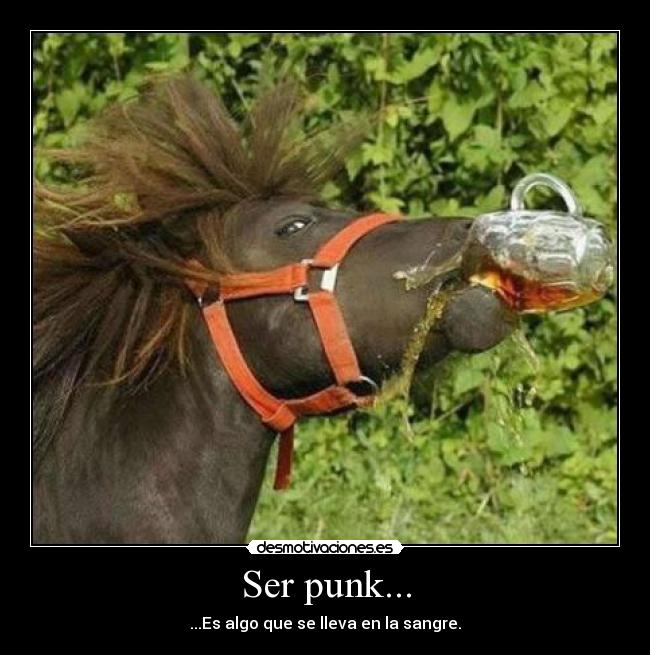 Ser punk... - 