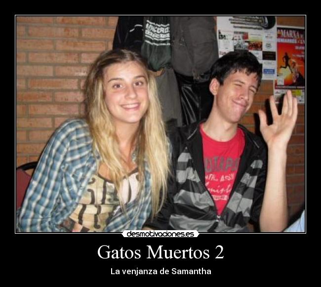 Gatos Muertos 2 - 