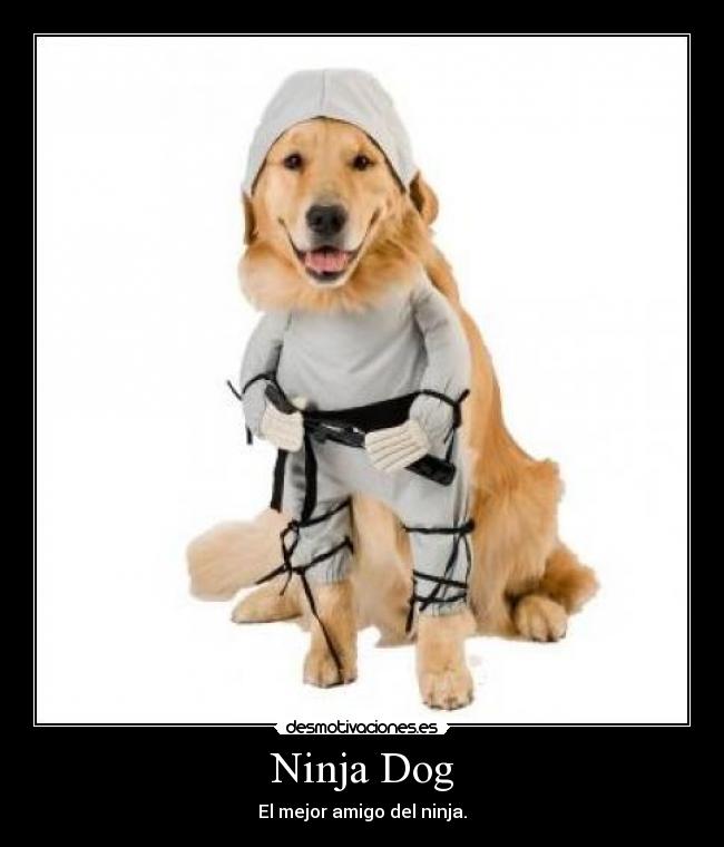 Ninja Dog - El mejor amigo del ninja.