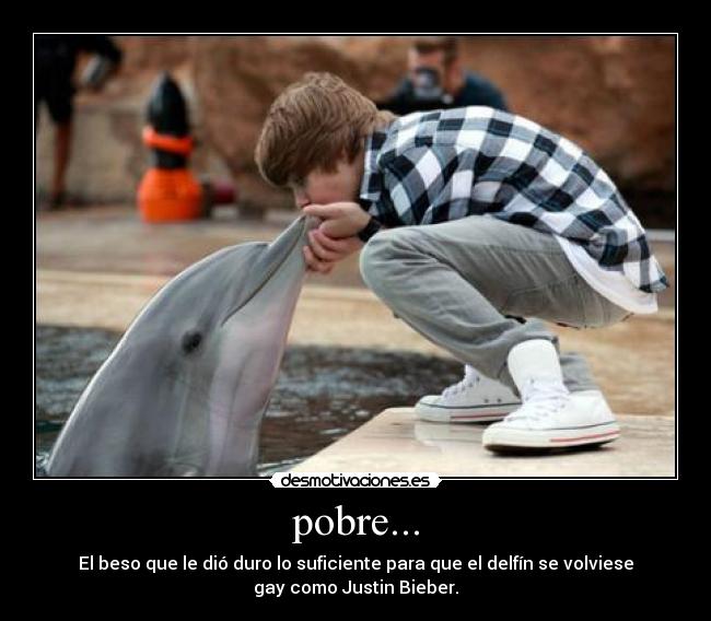 pobre... - 