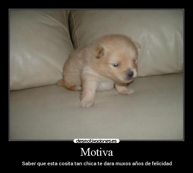Motiva - 
