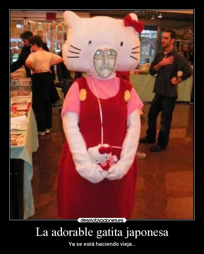 carteles hello kitty vejez desmotivaciones