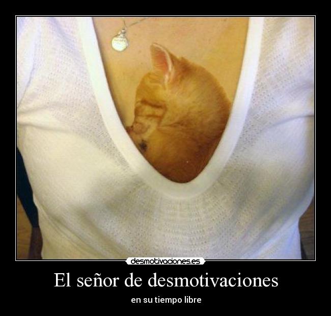 carteles desmotivaciones senor desmotivaciones robogonza desmotivaciones