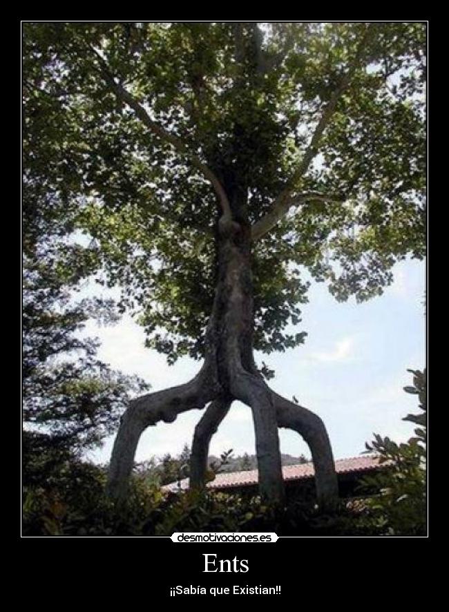 Ents -