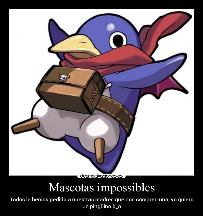 Mascotas impossibles - Todos le hemos pedido a nuestras madres que nos compren una, yo quiero
un pingüino ò_ó