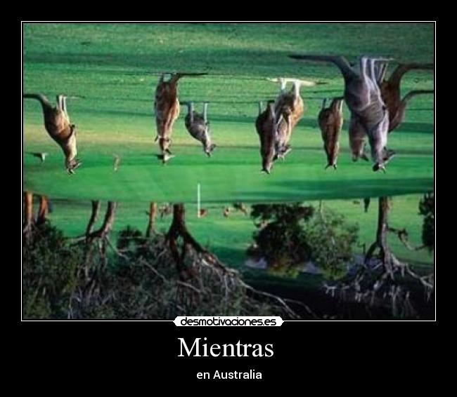 Mientras  - 