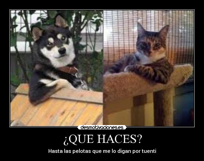 ¿QUE HACES? - 