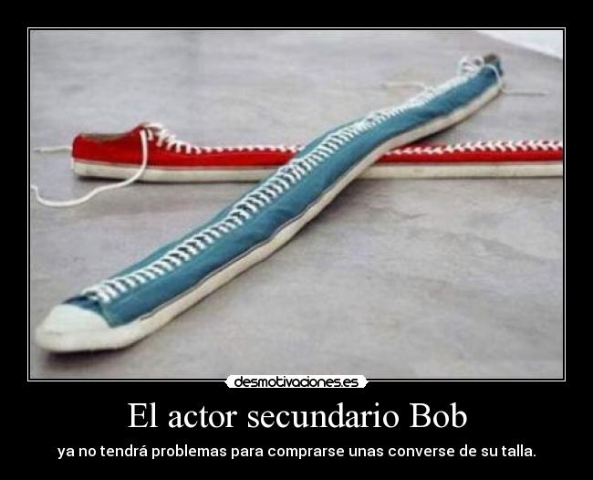 El actor secundario Bob - ya no tendrá problemas para comprarse unas converse de su talla.