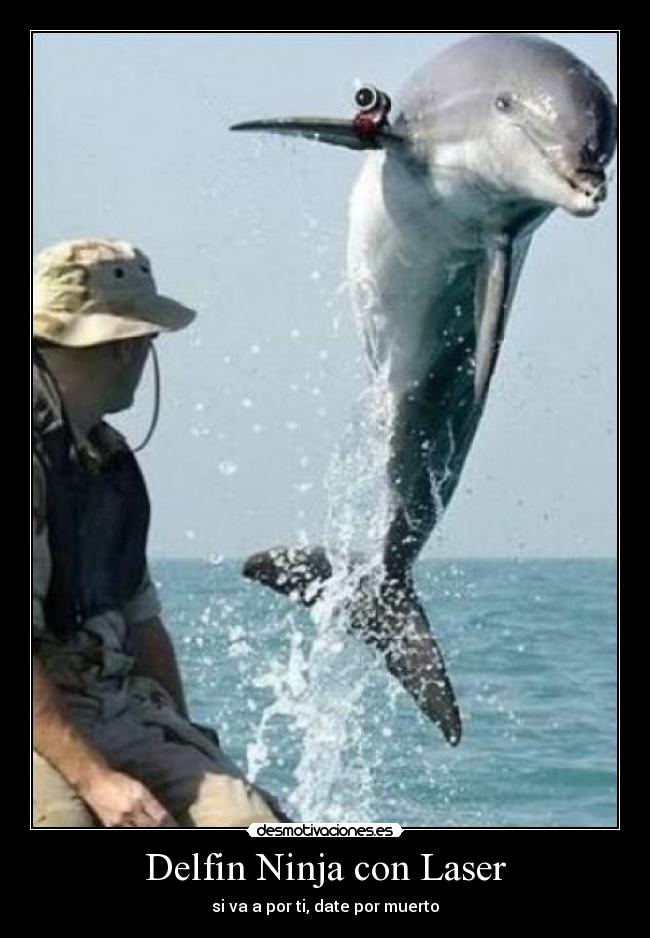 Delfin Ninja con Laser - 