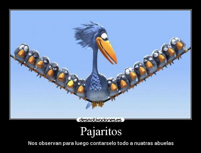 Pajaritos - Nos observan para luego contarselo todo a nuatras abuelas