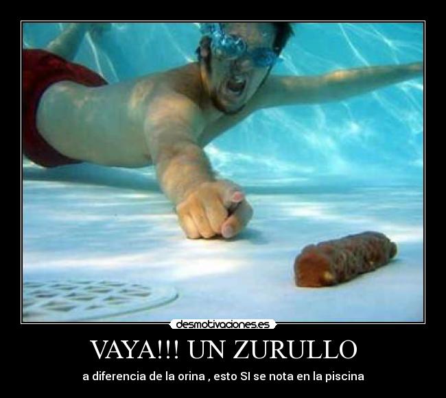 carteles zurullo desmotivaciones