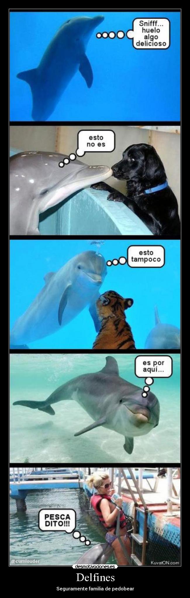 Delfines -