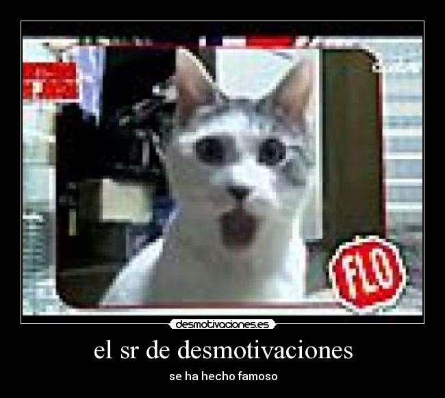 carteles desmotivaciones miedo desmotivaciones