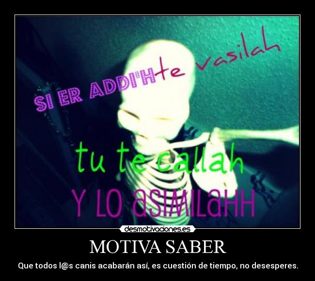 MOTIVA SABER - 