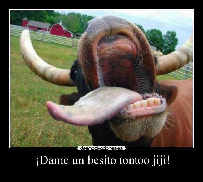 ¡Dame un besito tontoo jiji! -