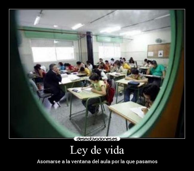 Ley de vida - 